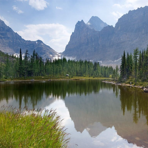 妞干网免费视频
